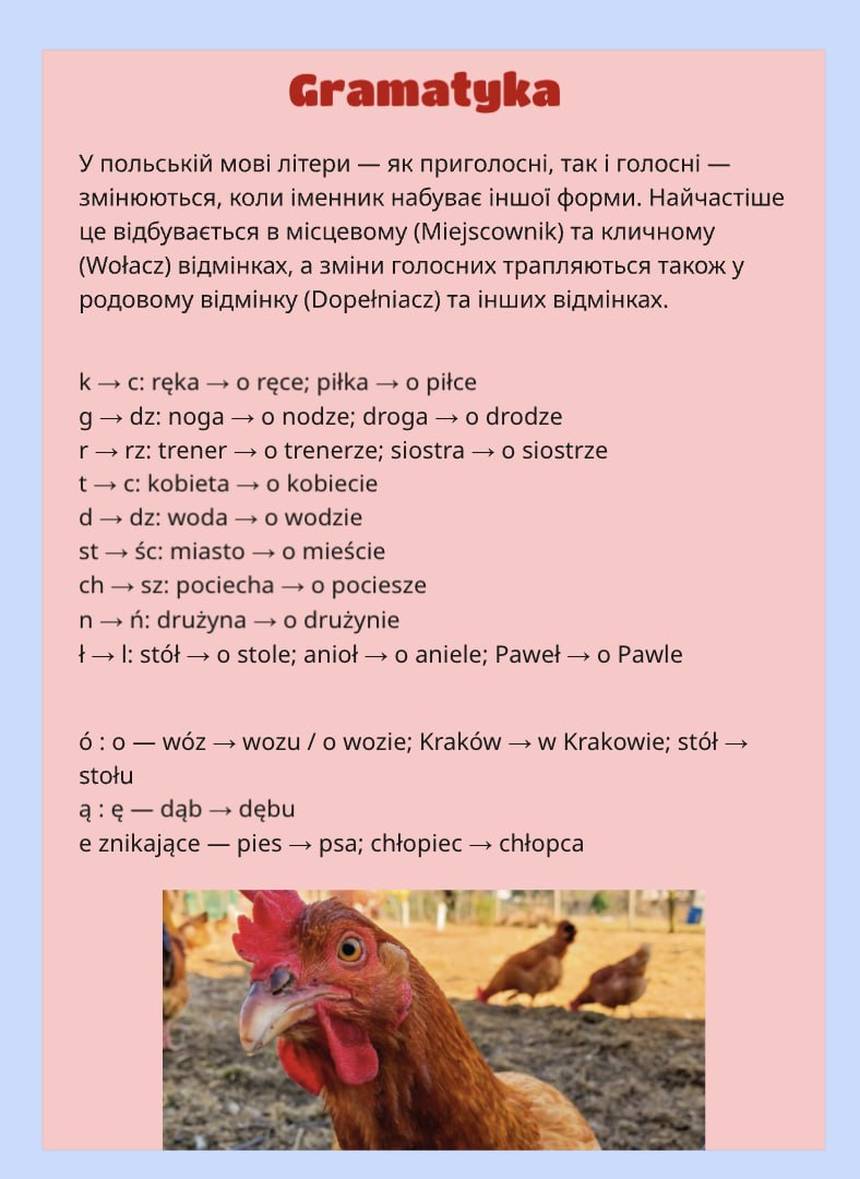 Слайд із заняття: Граматика